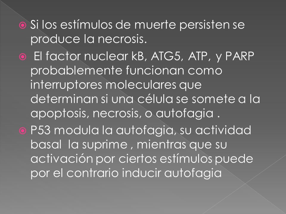 Si los estímulos de muerte persisten se produce la necrosis.