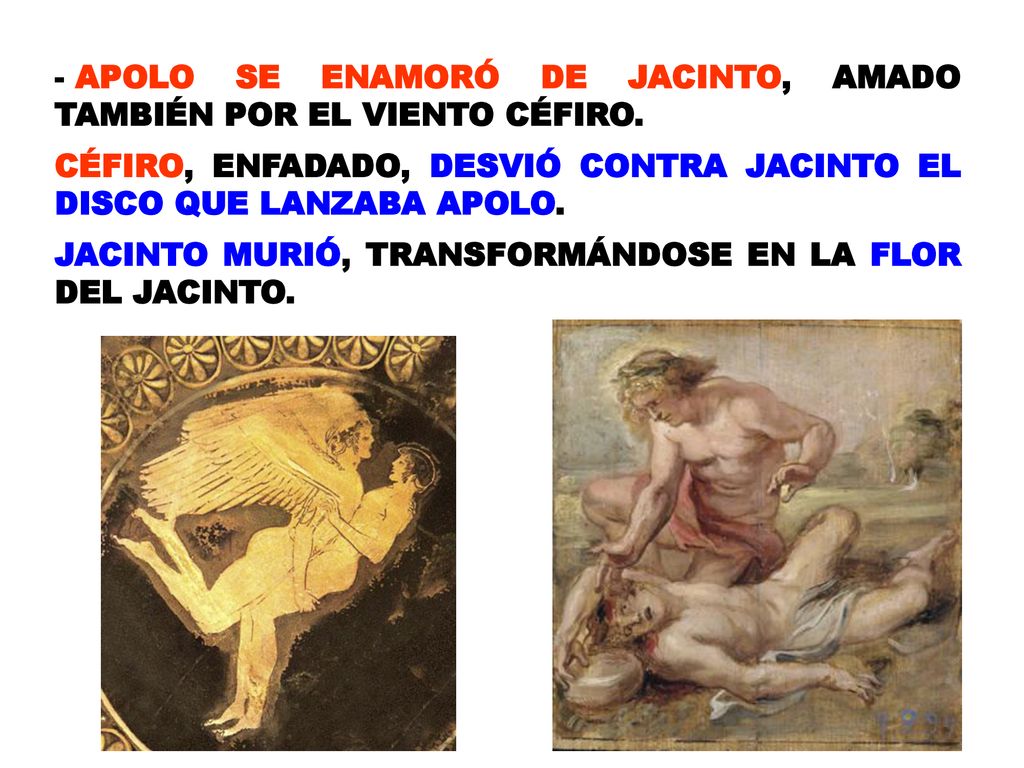 APOLO SE ENAMORÓ DE JACINTO, AMADO TAMBIÉN POR EL VIENTO CÉFIRO.