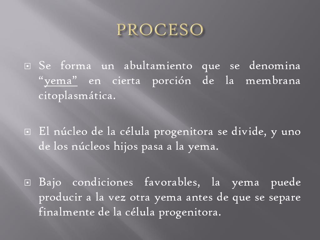 PROCESO Se forma un abultamiento que se denomina yema en cierta porción de la membrana citoplasmática.