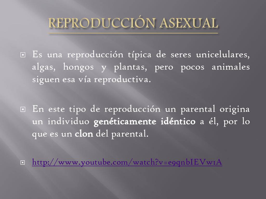 REPRODUCCIÓN ASEXUAL Es una reproducción típica de seres unicelulares, algas, hongos y plantas, pero pocos animales siguen esa vía reproductiva.