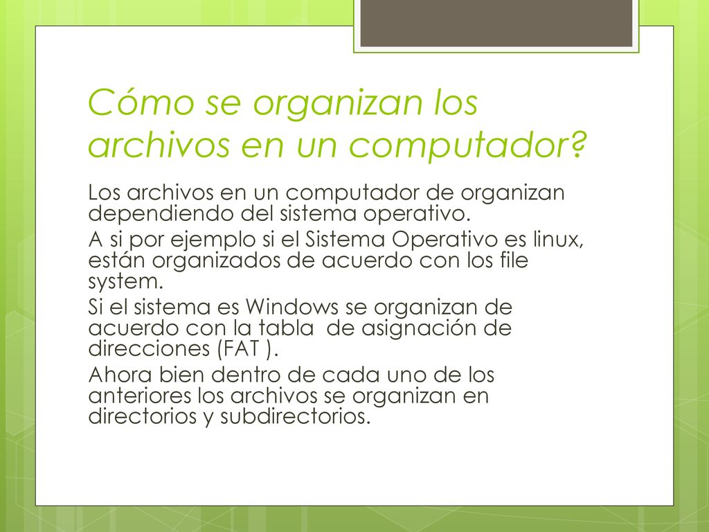 Cómo se organizan los archivos en un computador