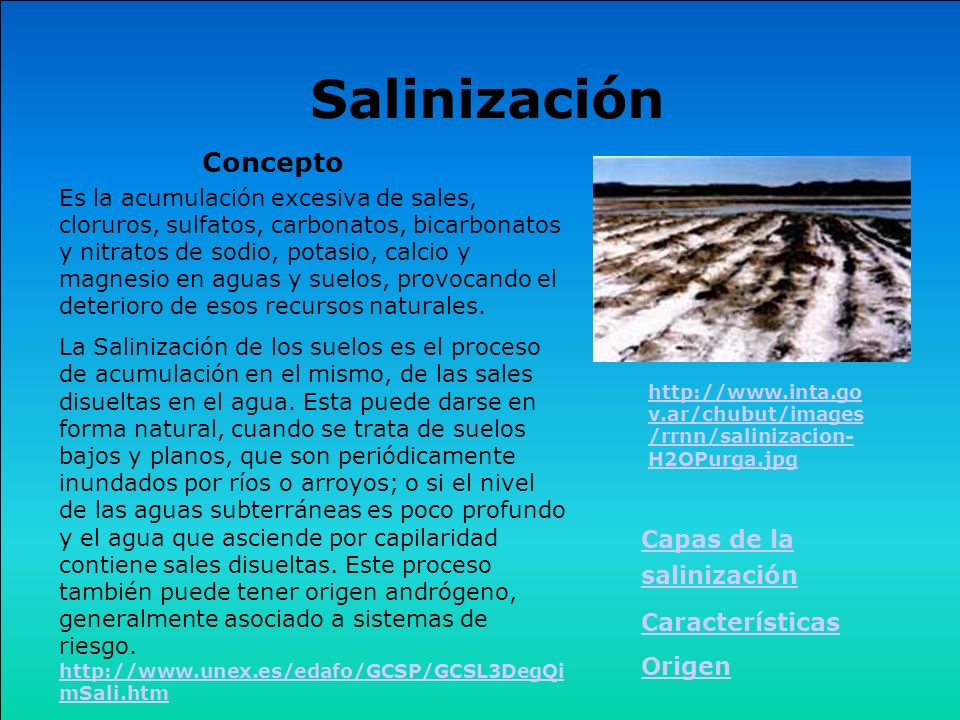 Salinización Concepto Capas de la salinización Características Origen