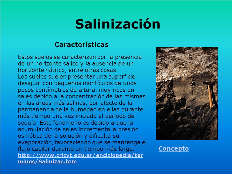 Salinización Características Concepto