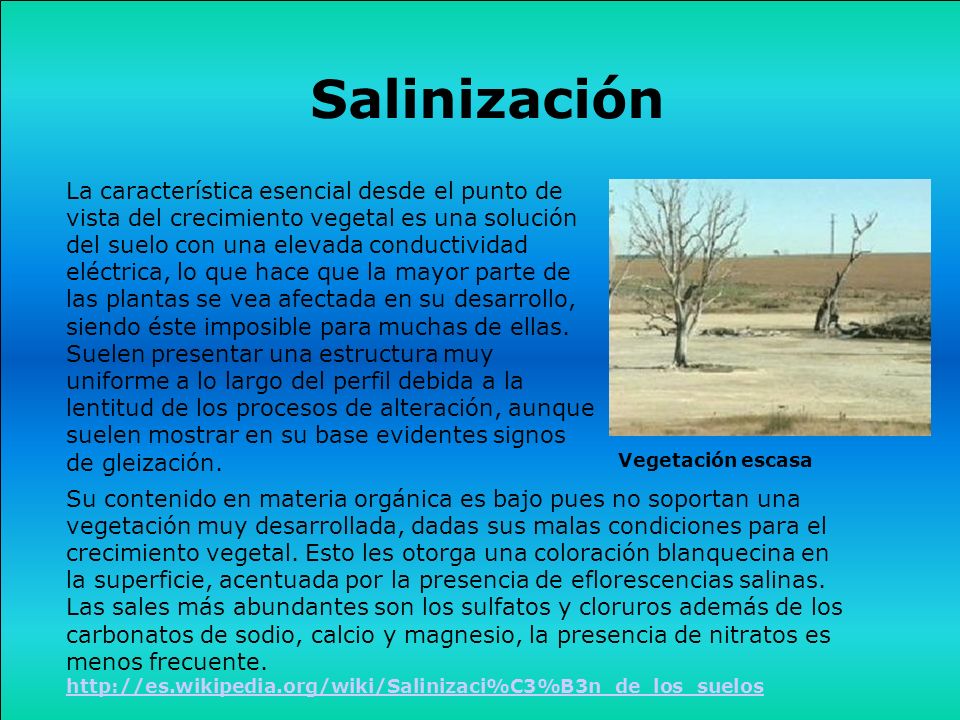 Salinización