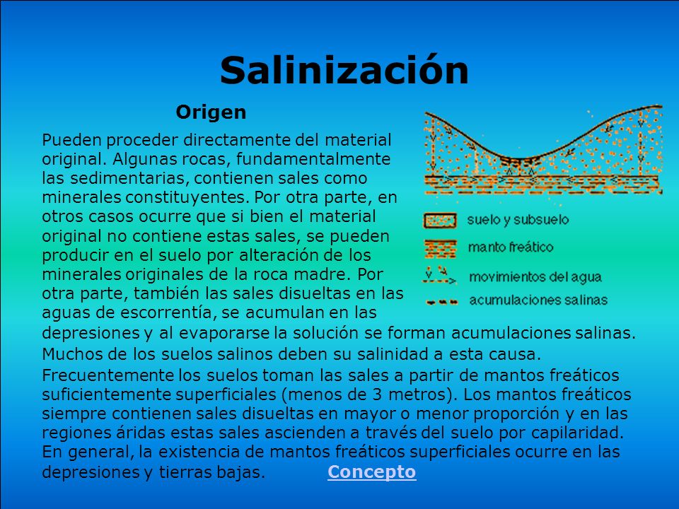 Salinización Origen.