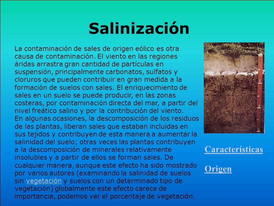 Salinización Características Origen