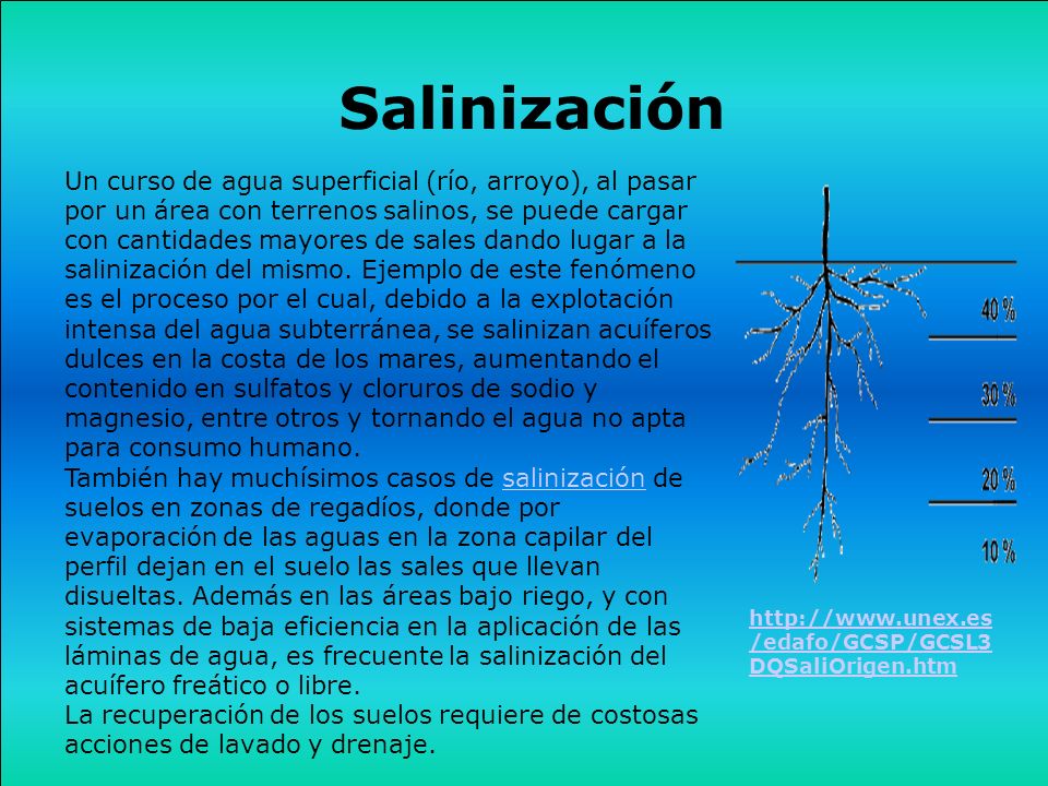 Salinización