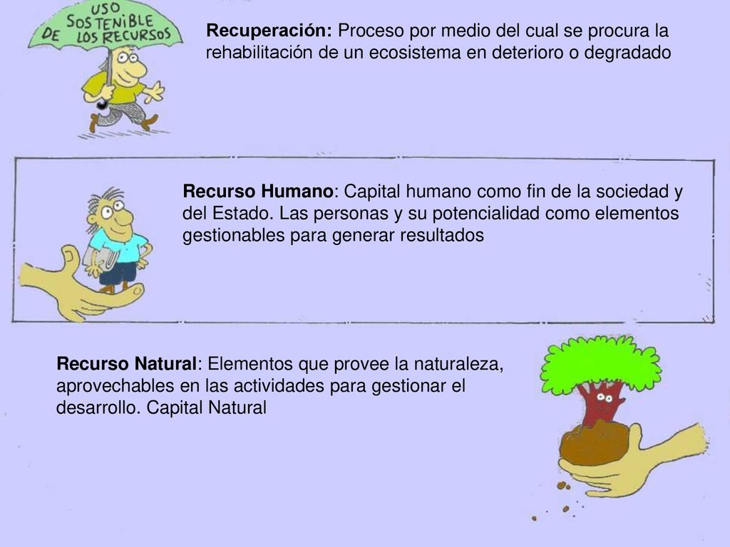 Recuperación: Proceso por medio del cual se procura la rehabilitación de un ecosistema en deterioro o degradado