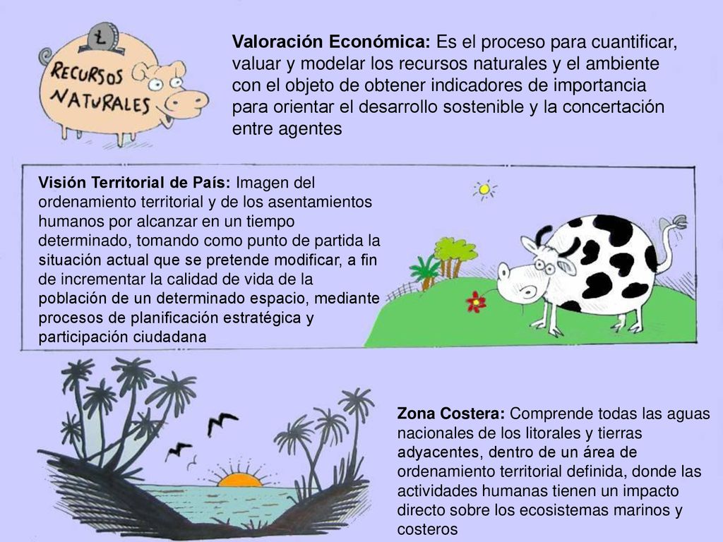 Valoración Económica: Es el proceso para cuantificar, valuar y modelar los recursos naturales y el ambiente con el objeto de obtener indicadores de importancia para orientar el desarrollo sostenible y la concertación entre agentes