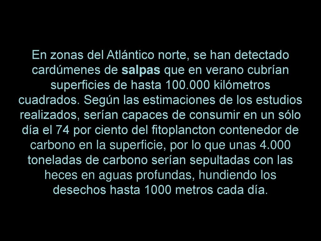 En zonas del Atlántico norte, se han detectado cardúmenes de salpas que en verano cubrían superficies de hasta kilómetros cuadrados.
