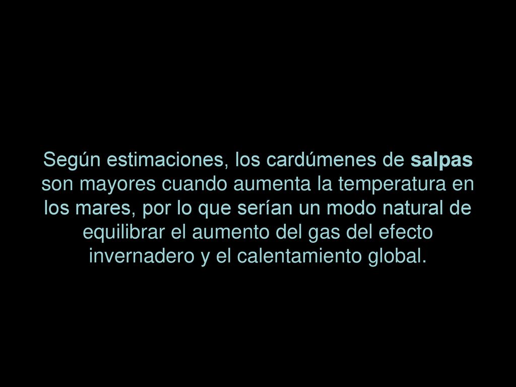 Según estimaciones, los cardúmenes de salpas son mayores cuando aumenta la temperatura en los mares, por lo que serían un modo natural de equilibrar el aumento del gas del efecto invernadero y el calentamiento global.