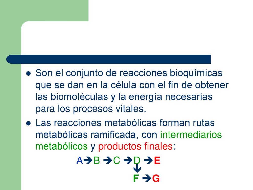 Son el conjunto de reacciones bioquímicas que se dan en la célula con el fin de obtener las biomoléculas y la energía necesarias para los procesos vitales.