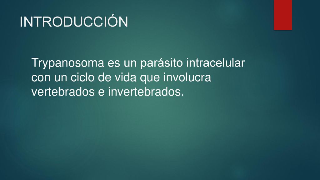 INTRODUCCIÓN Trypanosoma es un parásito intracelular con un ciclo de vida que involucra vertebrados e invertebrados.