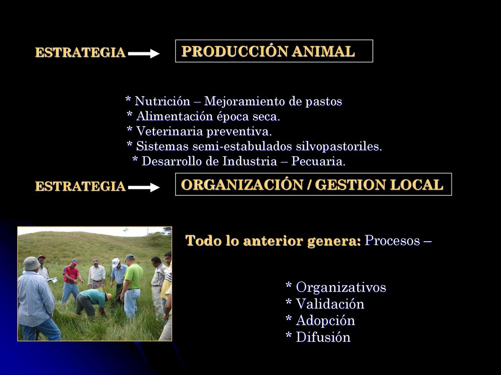 Todo lo anterior genera: Procesos – Productivos,