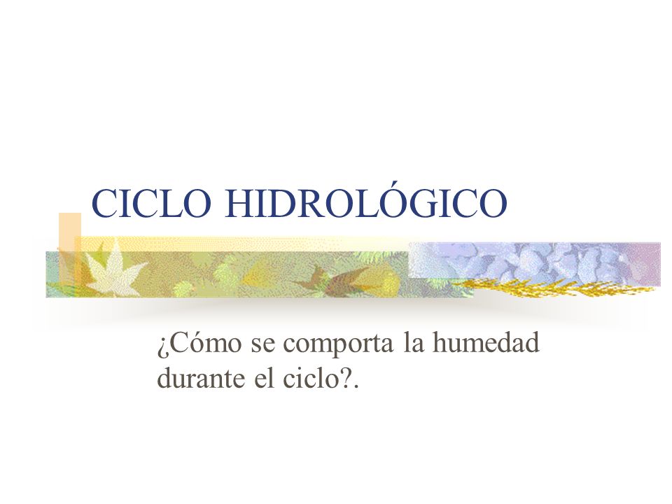 ¿Cómo se comporta la humedad durante el ciclo .