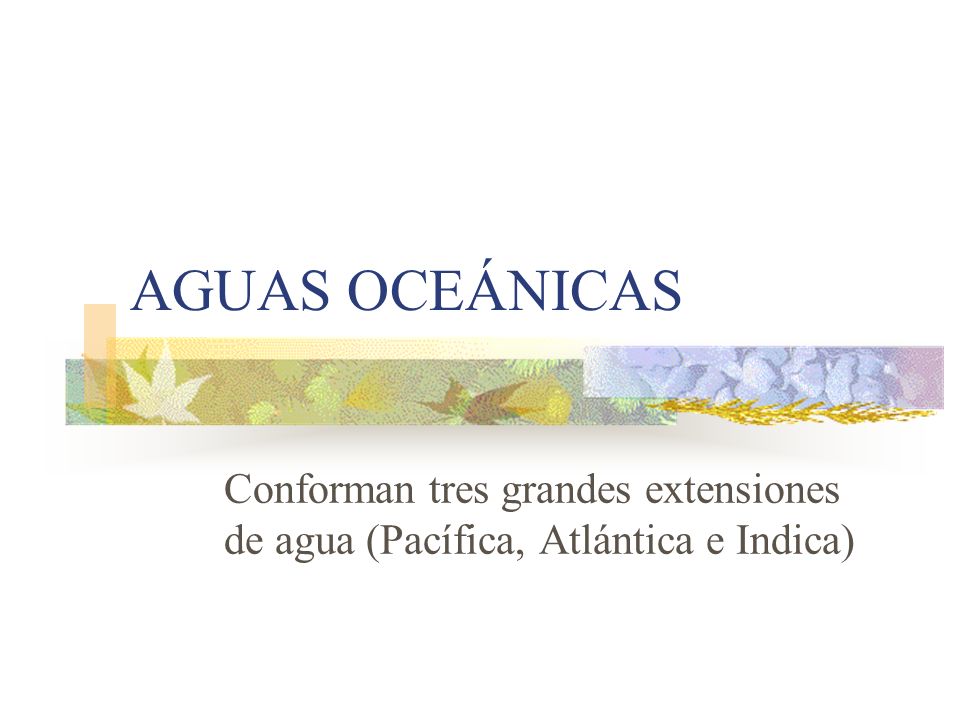 AGUAS OCEÁNICAS Conforman tres grandes extensiones de agua (Pacífica, Atlántica e Indica)