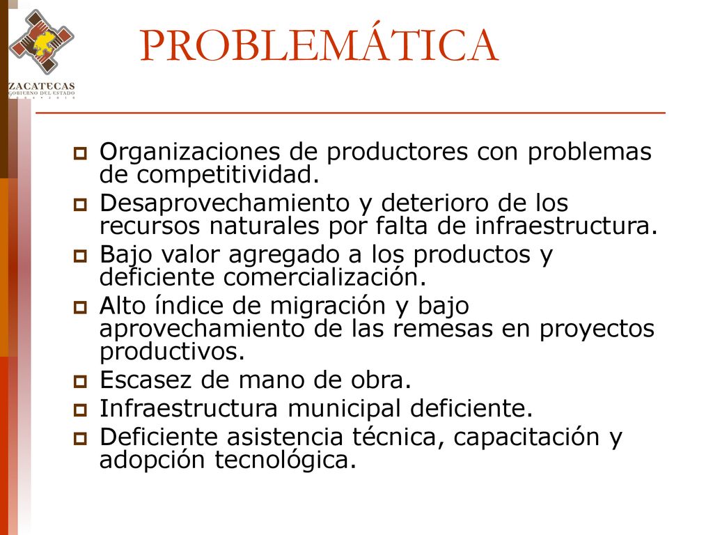 PROBLEMÁTICA Organizaciones de productores con problemas de competitividad.