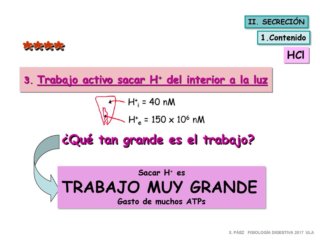 **** TRABAJO MUY GRANDE ¿Qué tan grande es el trabajo HCl