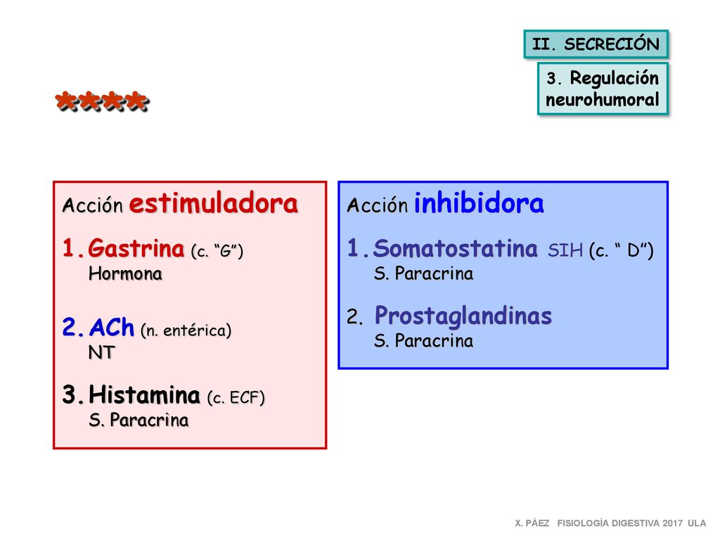 **** Gastrina (c. G ) ACh (n. entérica) Histamina (c. ECF)