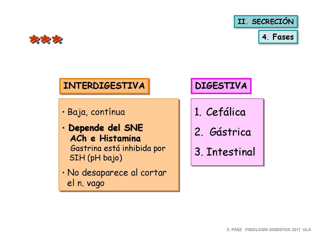 * * * Cefálica 2. Gástrica 3. Intestinal INTERDIGESTIVA DIGESTIVA