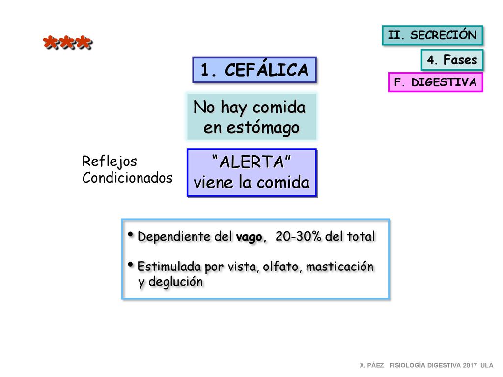 *** 1. CEFÁLICA No hay comida en estómago ALERTA viene la comida
