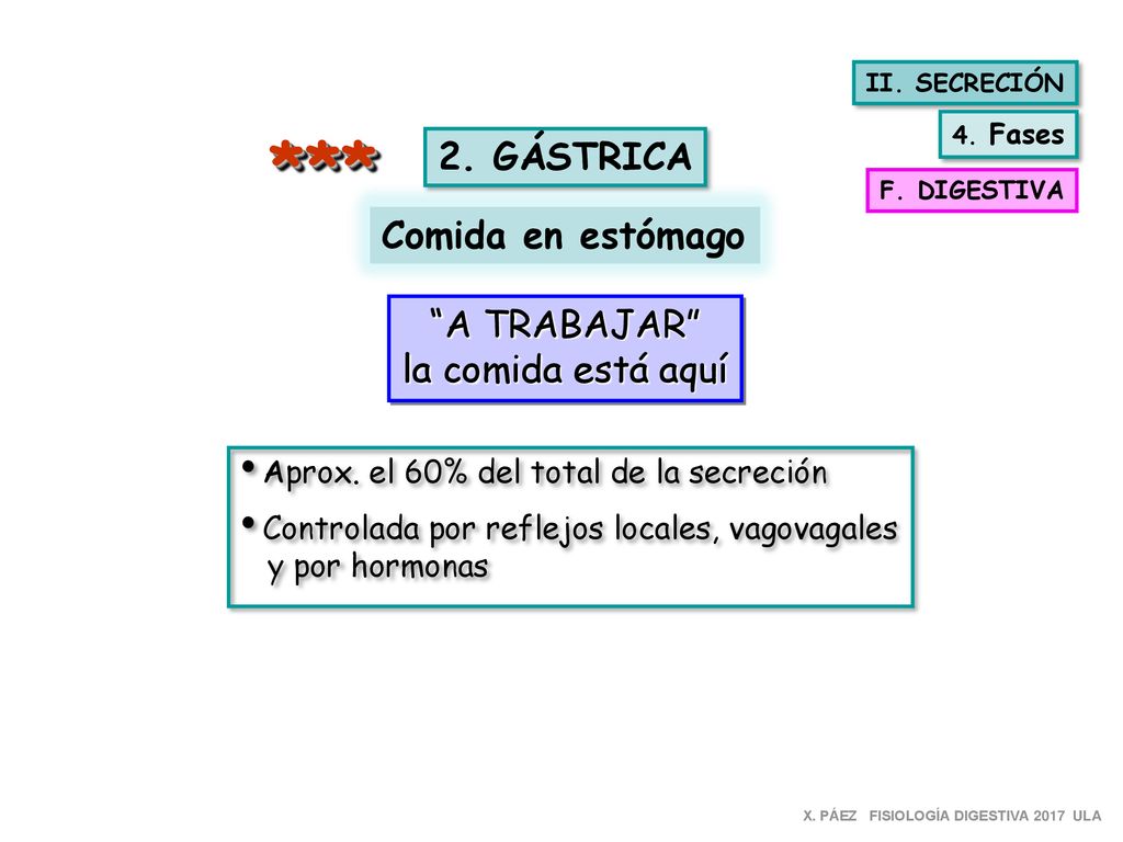*** 2. GÁSTRICA Comida en estómago A TRABAJAR la comida está aquí