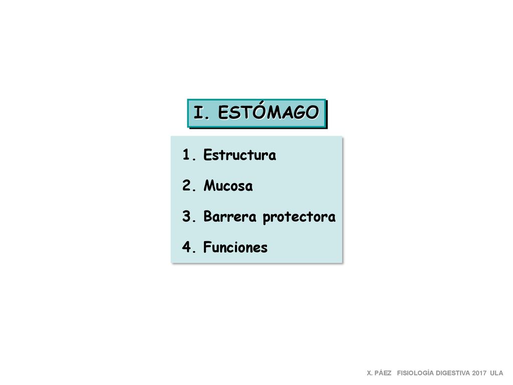 I. ESTÓMAGO 1. Estructura 2. Mucosa 3. Barrera protectora 4. Funciones