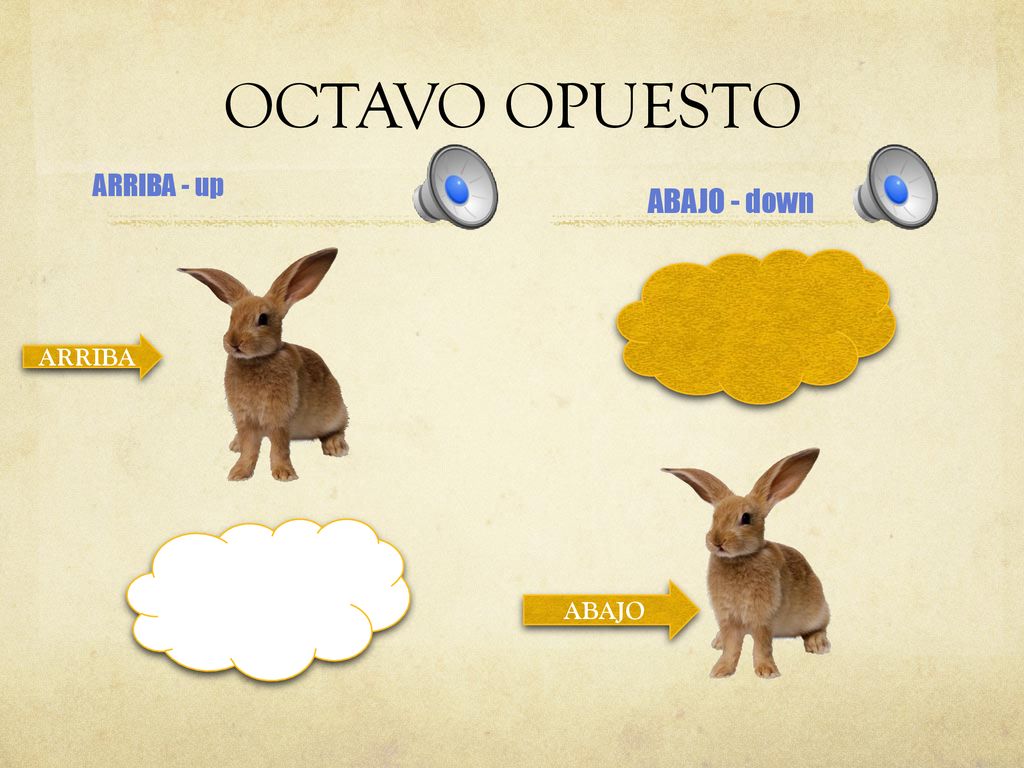 OCTAVO OPUESTO ABAJO - down ARRIBA - up ARRIBA ABAJO