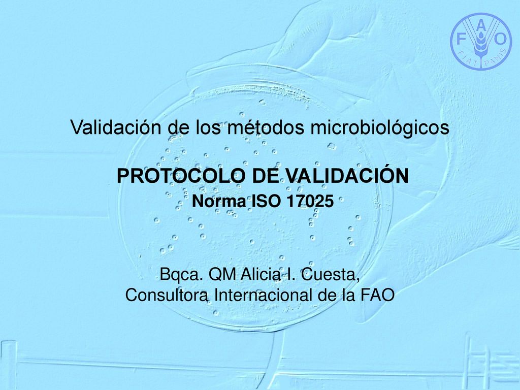 Bqca. QM Alicia I. Cuesta, Consultora Internacional de la FAO