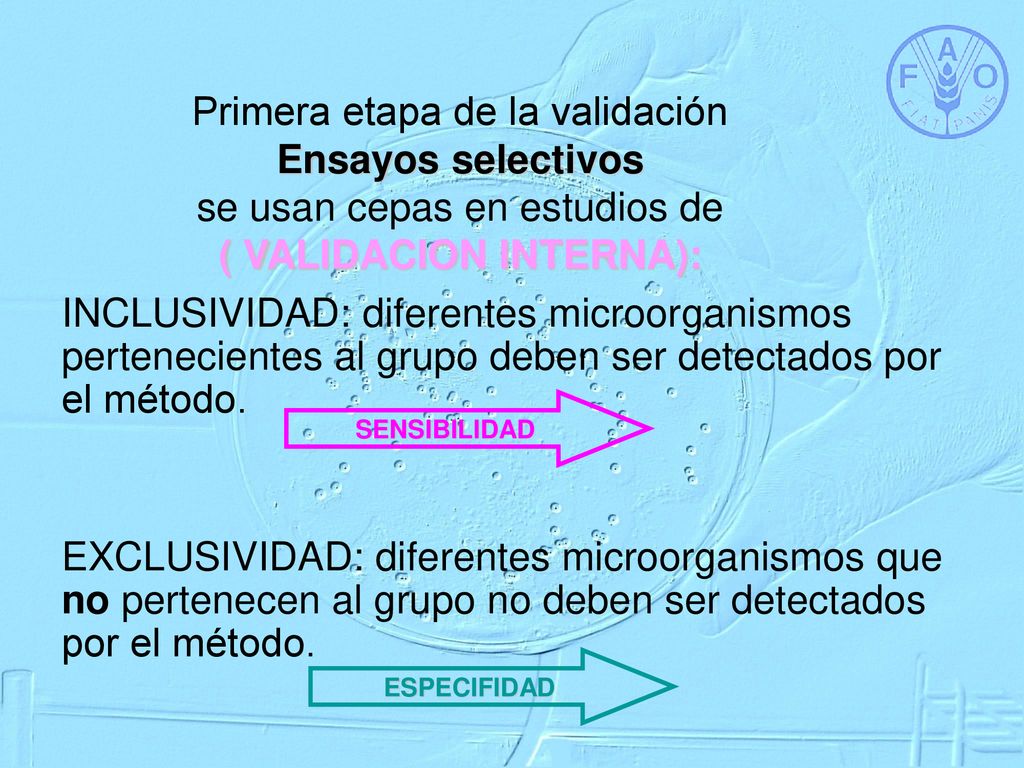 Primera etapa de la validación Ensayos selectivos se usan cepas en estudios de ( VALIDACION INTERNA):