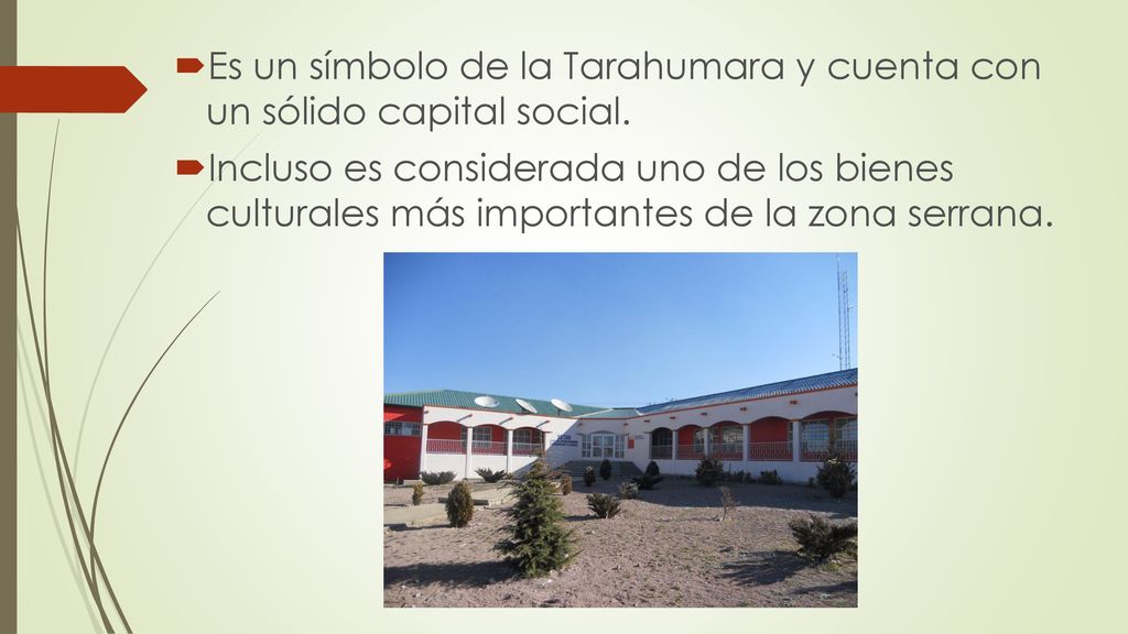 Es un símbolo de la Tarahumara y cuenta con un sólido capital social.