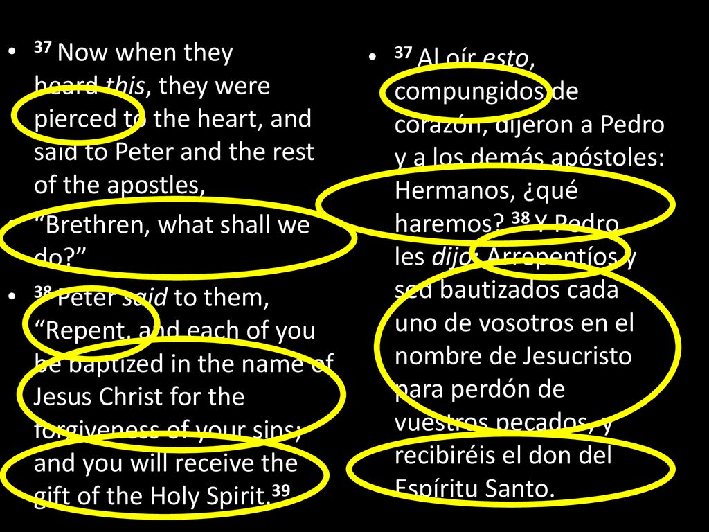 37 Now when they heard this, they were pierced to the heart, and said to Peter and the rest of the apostles,