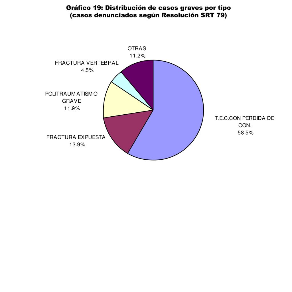 Gráfico 19: Distribución de casos graves por tipo (casos denunciados según Resolución SRT 79)