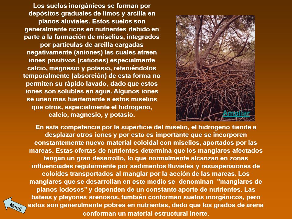 Los suelos inorgánicos se forman por depósitos graduales de limos y arcilla en planos aluviales. Estos suelos son generalmente ricos en nutrientes debido en parte a la formación de miselios, integrados por partículas de arcilla cargadas negativamente (aniones) las cuales atraen iones positivos (cationes) especialmente calcio, magnesio y potasio, reteniéndolos temporalmente (absorción) de esta forma no permiten su rápido lavado, dado que estos iones son solubles en agua. Algunos iones se unen mas fuertemente a estos miselios que otros, especialmente el hidrogeno, calcio, magnesio, y potasio.