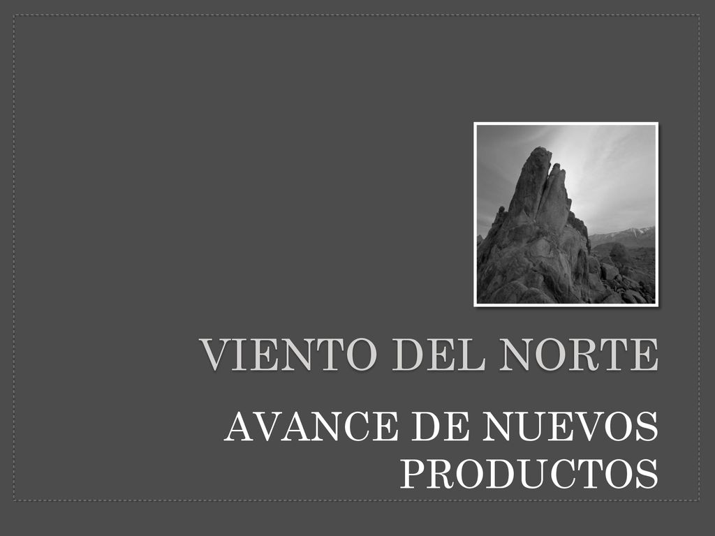 VIENTO DEL NORTE AVANCE DE NUEVOS PRODUCTOS