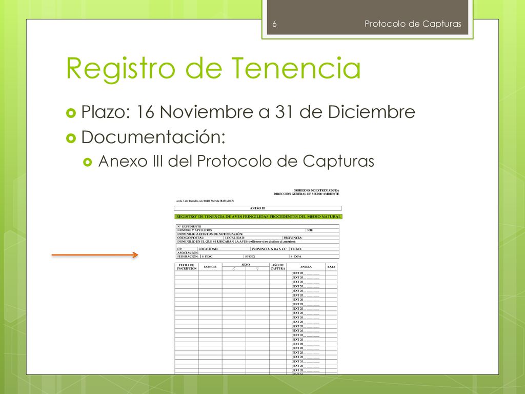 Registro de Tenencia Plazo: 16 Noviembre a 31 de Diciembre