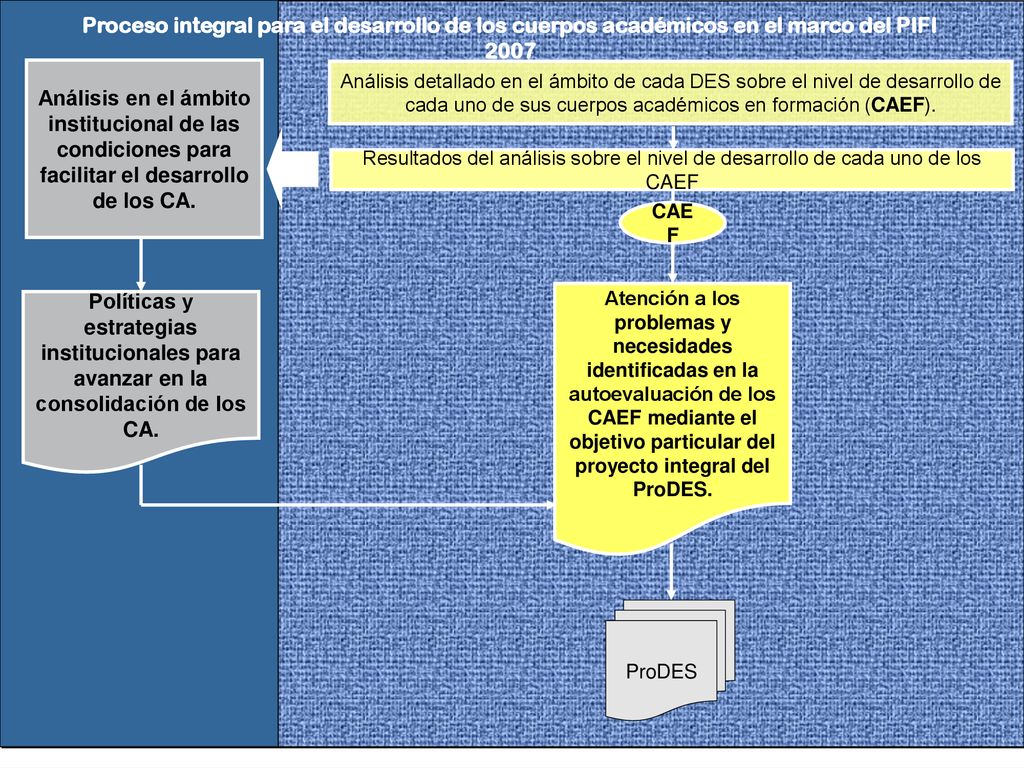 Proceso integral para el desarrollo de los cuerpos académicos en el marco del PIFI 2007