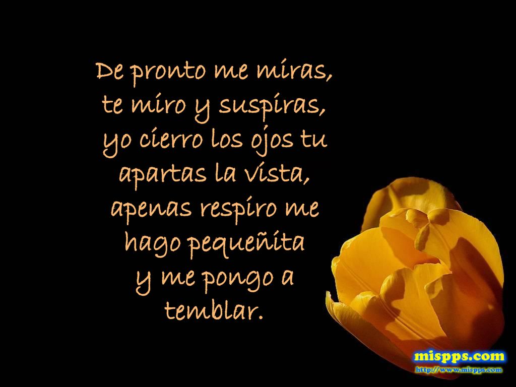 De pronto me miras, te miro y suspiras, yo cierro los ojos tu apartas la vista, apenas respiro me hago pequeñita y me pongo a temblar.