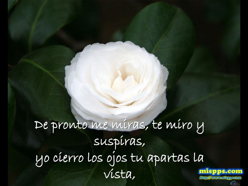 De pronto me miras, te miro y suspiras, yo cierro los ojos tu apartas la vista,