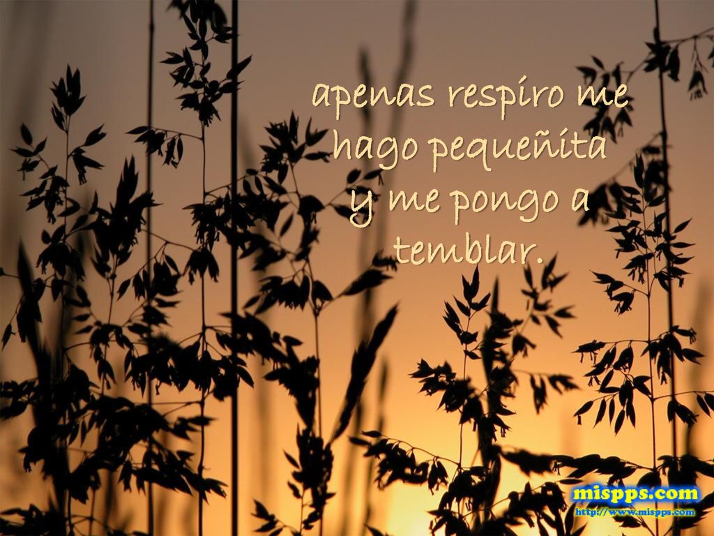 apenas respiro me hago pequeñita y me pongo a temblar.