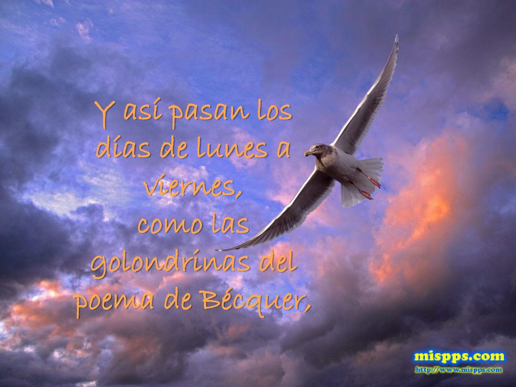 Y así pasan los días de lunes a viernes, como las golondrinas del poema de Bécquer,