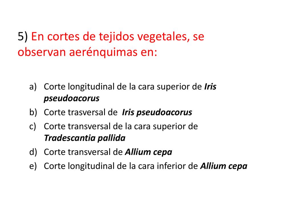 5) En cortes de tejidos vegetales, se observan aerénquimas en: