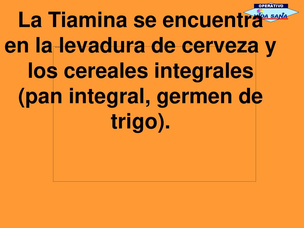 OPERATIVO La Tiamina se encuentra en la levadura de cerveza y los cereales integrales (pan integral, germen de trigo).