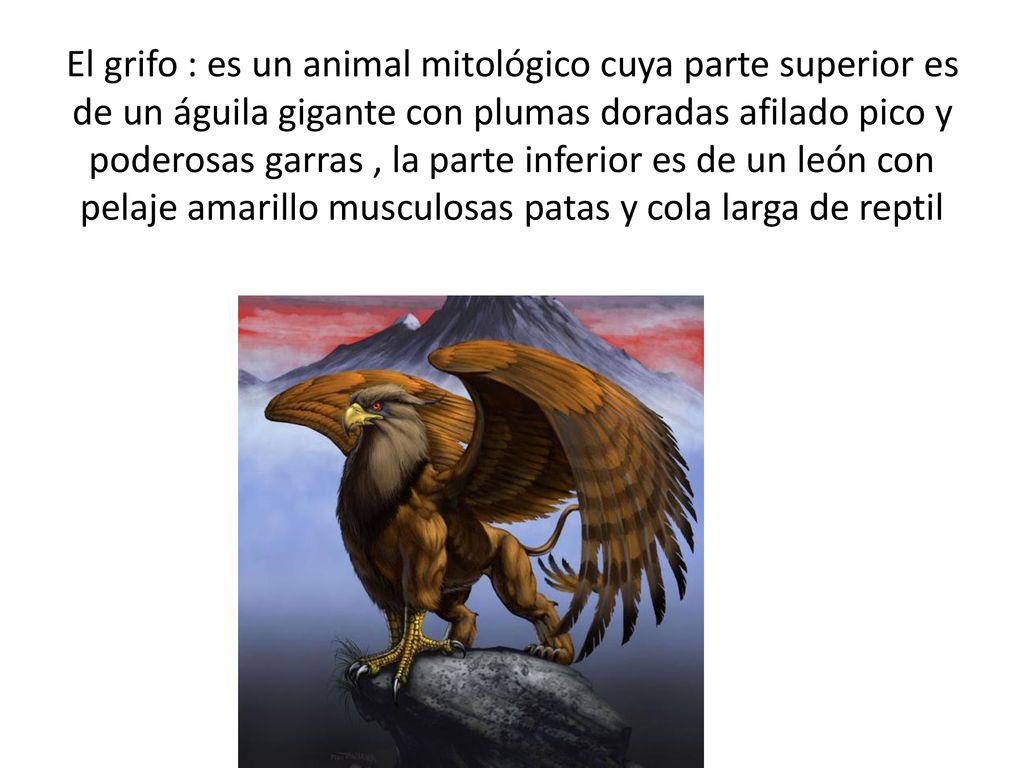 El grifo : es un animal mitológico cuya parte superior es de un águila gigante con plumas doradas afilado pico y poderosas garras , la parte inferior es de un león con pelaje amarillo musculosas patas y cola larga de reptil
