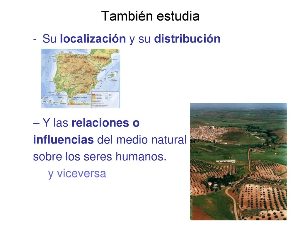 También estudia Su localización y su distribución Y las relaciones o