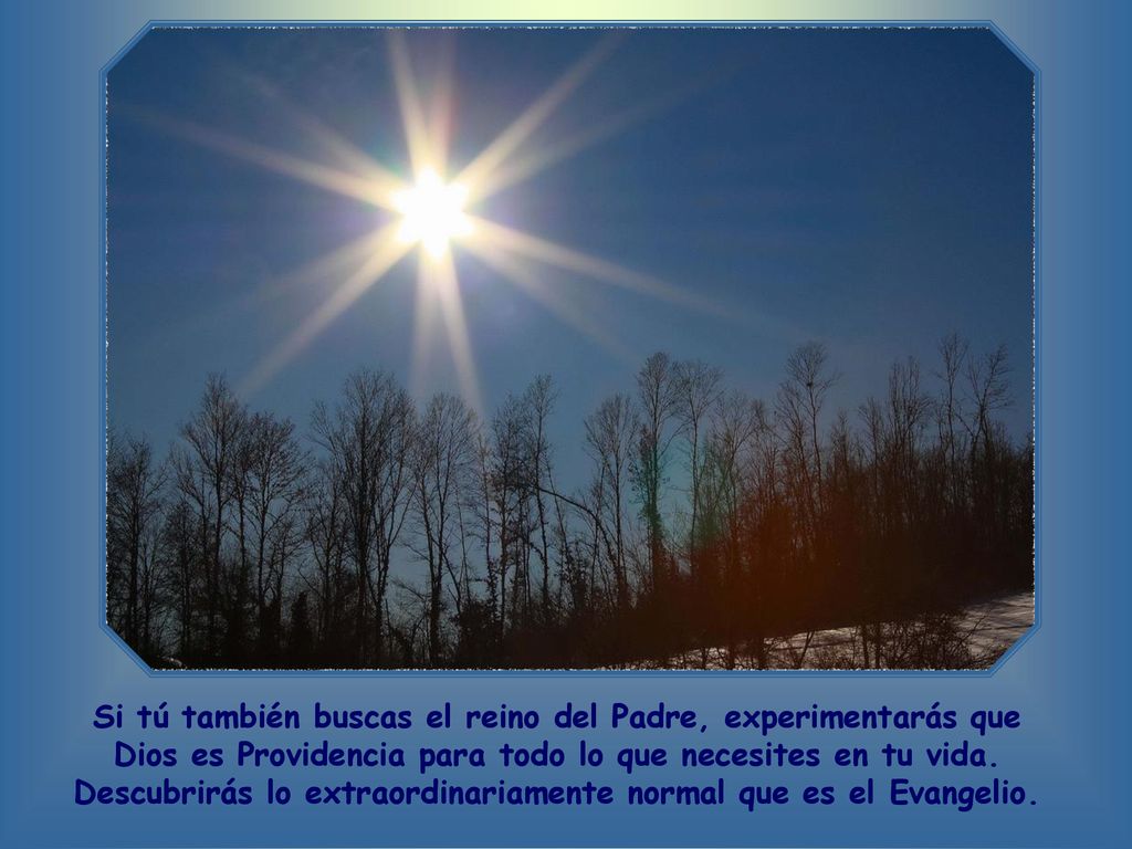 Si tú también buscas el reino del Padre, experimentarás que Dios es Providencia para todo lo que necesites en tu vida.