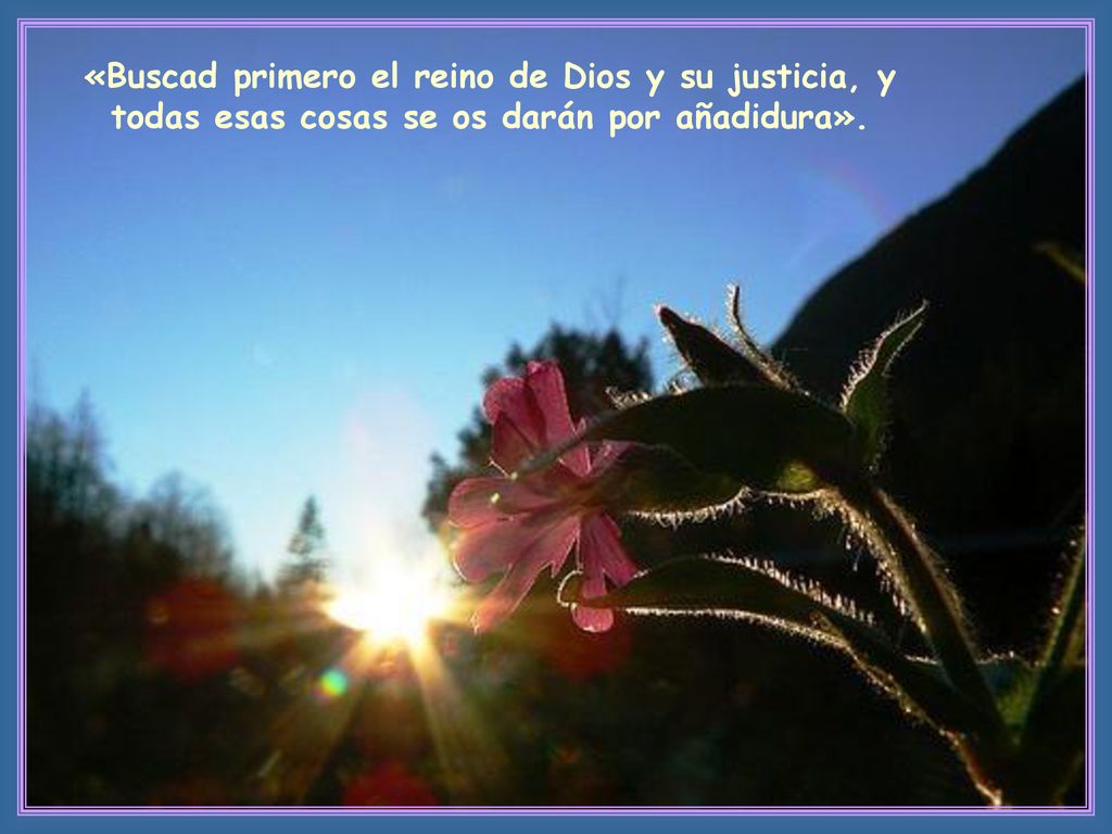 «Buscad primero el reino de Dios y su justicia, y todas esas cosas se os darán por añadidura».