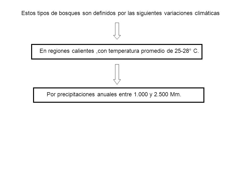 Estos tipos de bosques son definidos por las siguientes variaciones climáticas