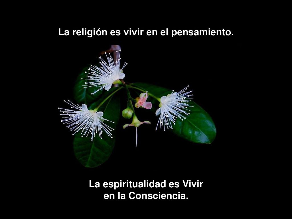 La religión es vivir en el pensamiento. La espiritualidad es Vivir