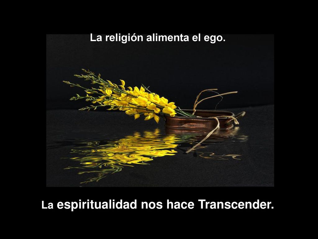 La religión alimenta el ego. La espiritualidad nos hace Transcender.